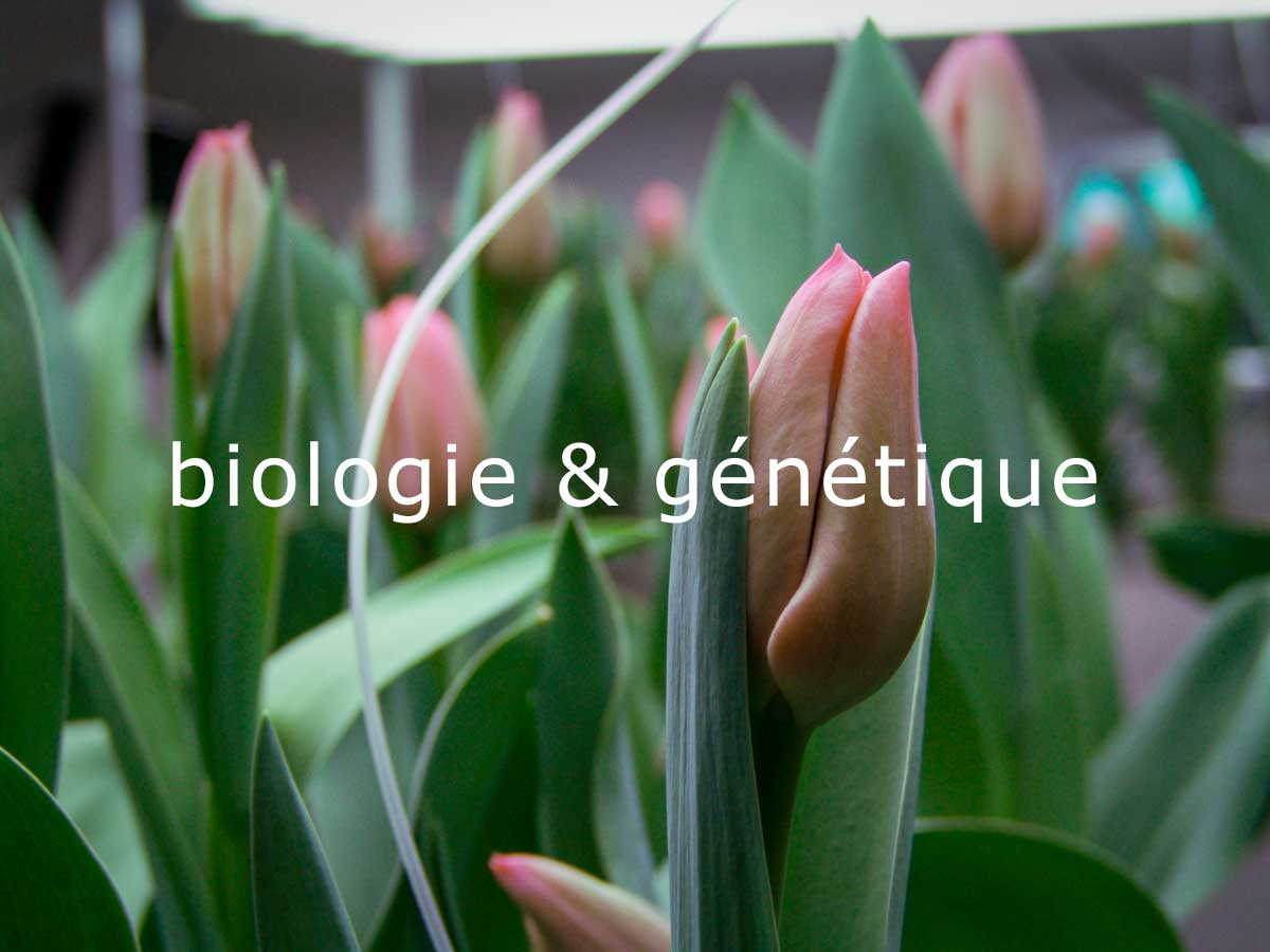 biologie & génétique