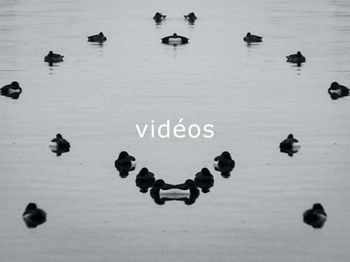 vidéos